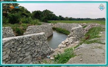 Tiga Proyek Rehabilitasi Jaringan Irigasi Sidrap Dilaporkan L-Kontak