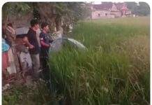Kekeringan Ancam Pertanian, Bupati Jeneponto Kerahkan Damkar untuk Bantuan Air Darurat